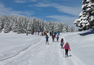 CORSO SCI DI FONDO - CAI REGGIO EMILIA